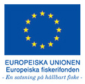 EU Logotype